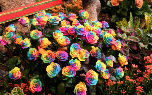 476649 (a): :1680x1050